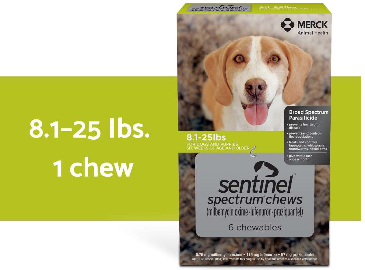 Sentinel Spectrum nhai hộp màu xanh lá cây cho 8.1-25 lbs. Chó mô tả ngang