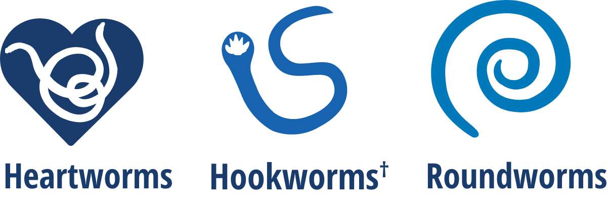 Sentinel hookworms outlet