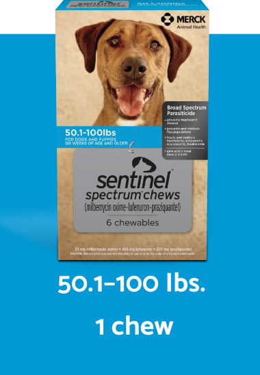 Sentinel Spectrum nhai hộp màu xanh cho 50.1-100 lbs. Chó mô tả thẳng đứng