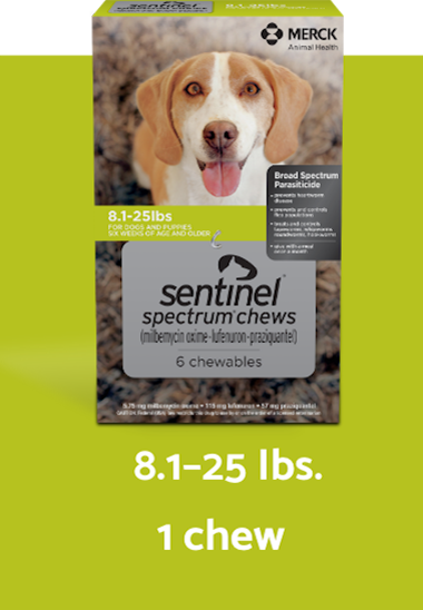 Sentinel Spectrum nhai hộp màu xanh lá cây cho 8.1-25 lbs. Chó mô tả thẳng đứng